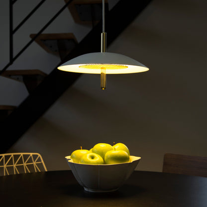 Signal Pendant Light — Black & Brass