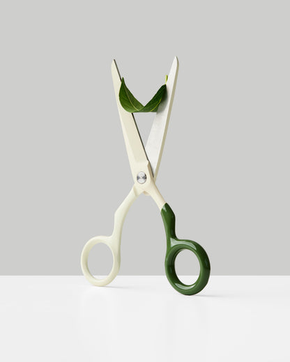 Spectra Scissors