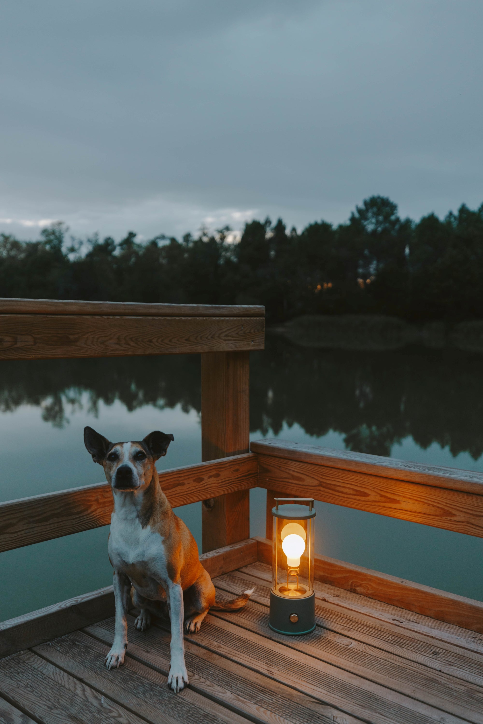 The Muse 2.0 Portable Lamp
