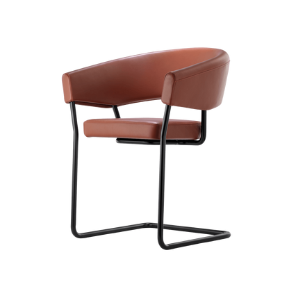 D9 Cantilever Chair