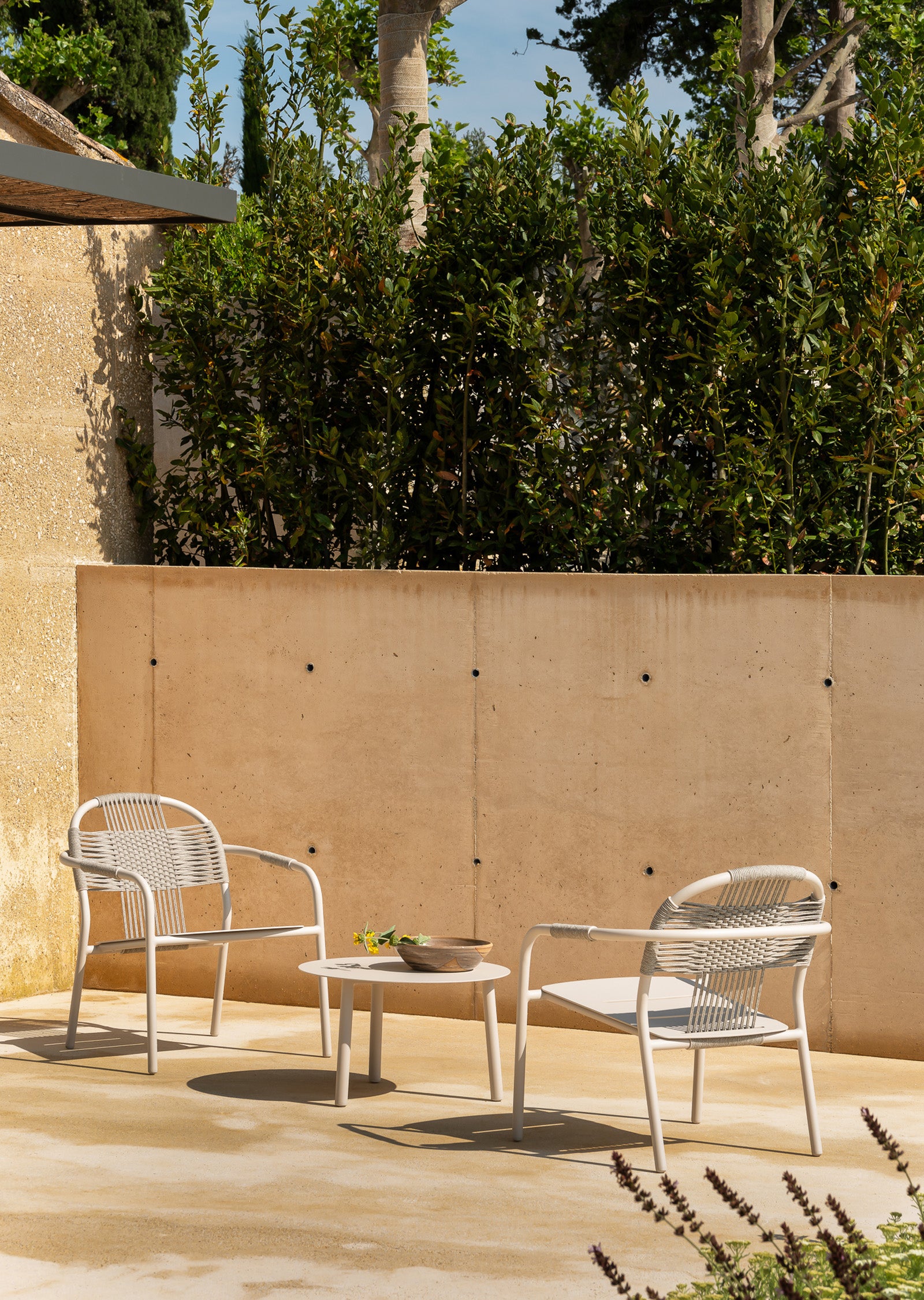 Cleo Dining Armchair
