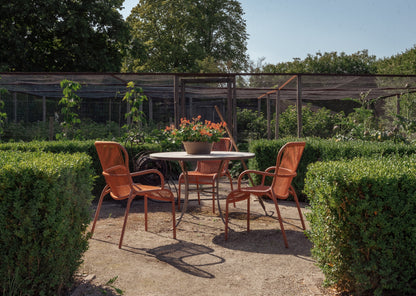 Loop Dining Chair