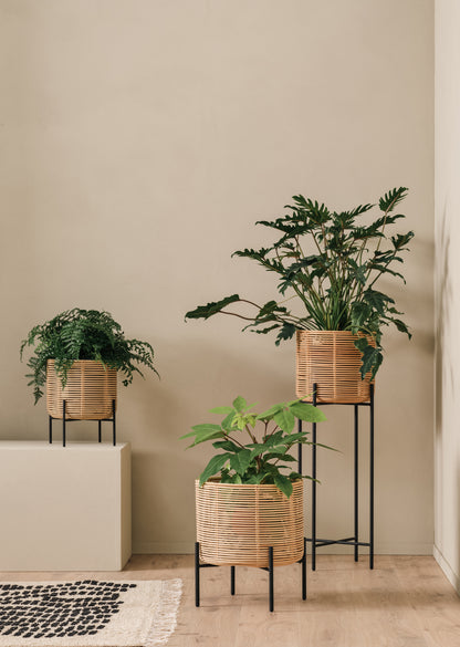 Vivi Plant Stand