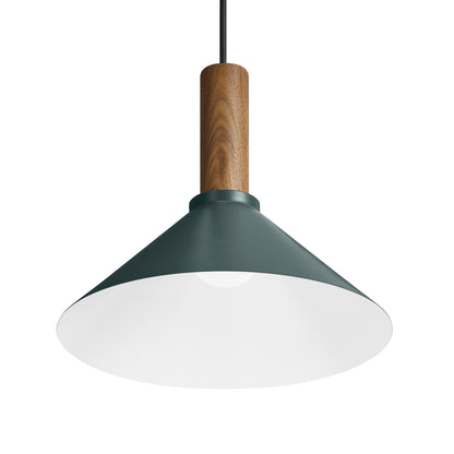 Emblem Pendant Light