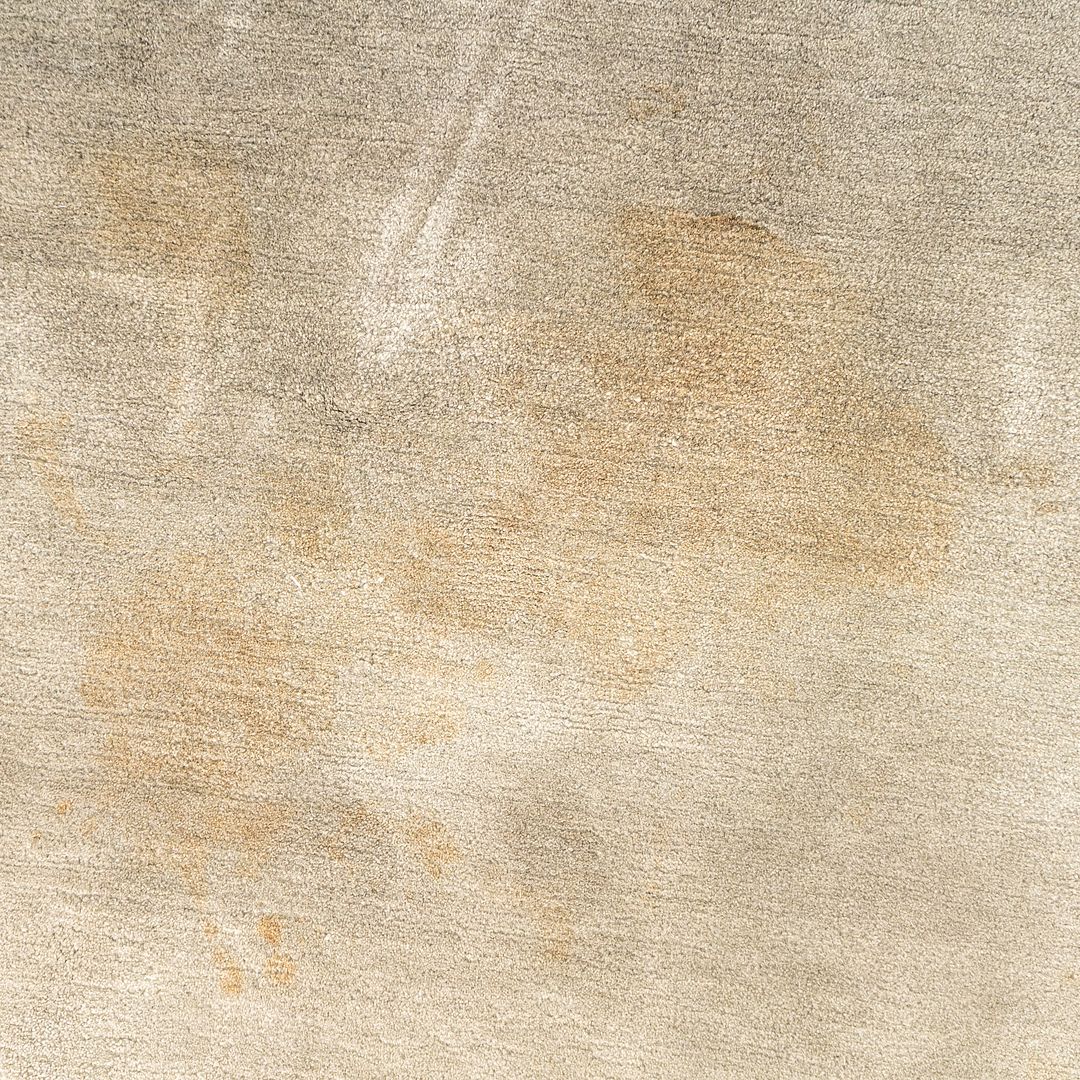 Area Rug