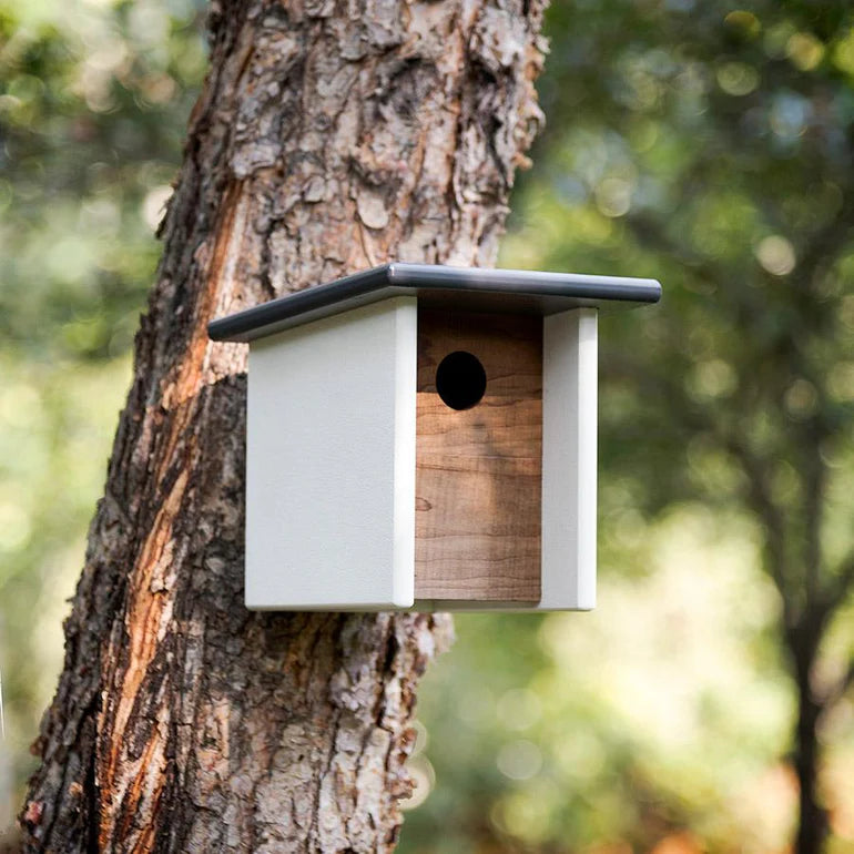 Arbor Modern Birdhouse