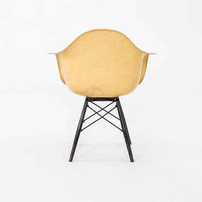 PAW Chair