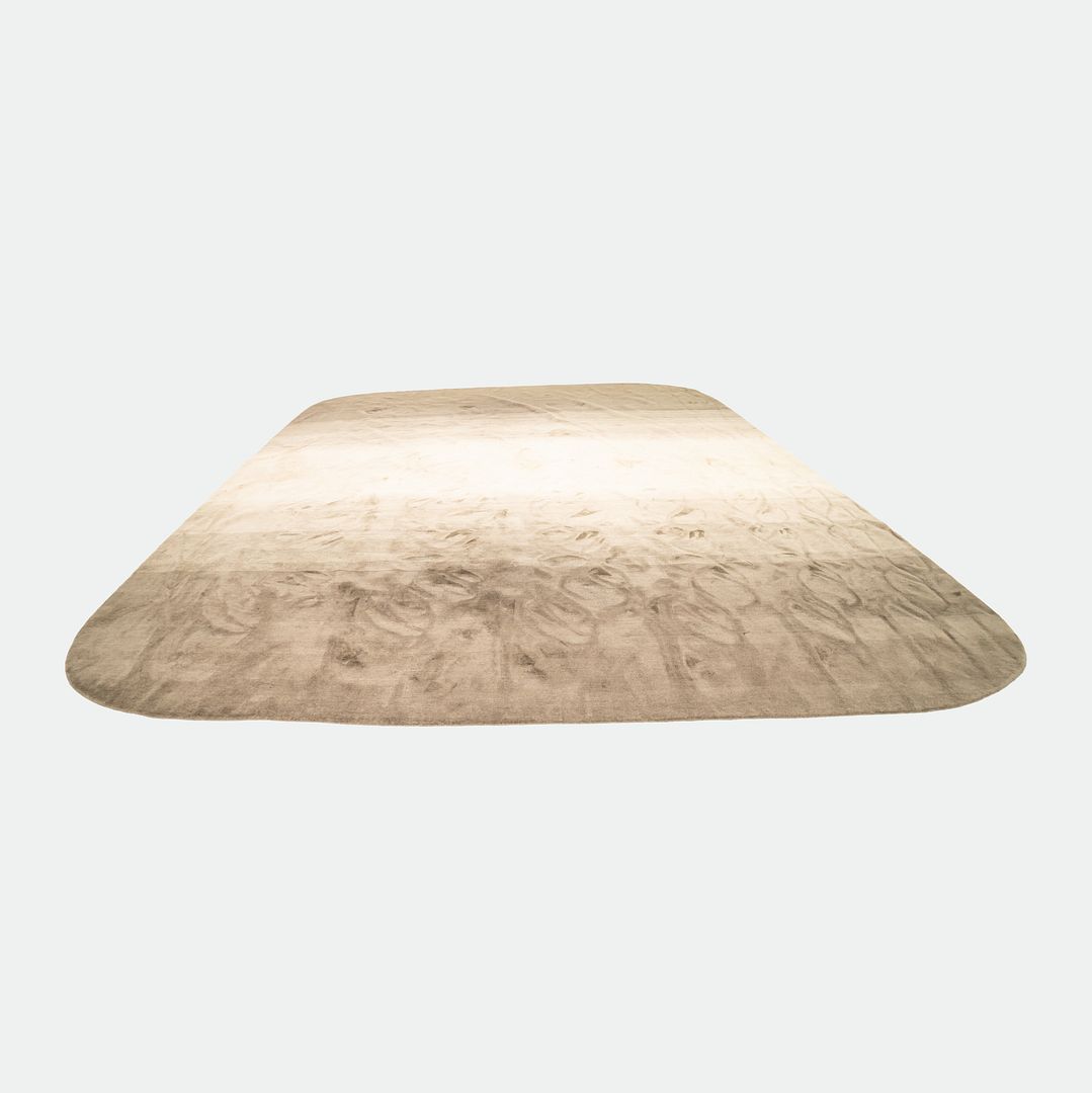 Area Rug