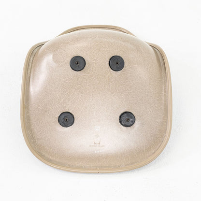 Eames Fiberglass Shell