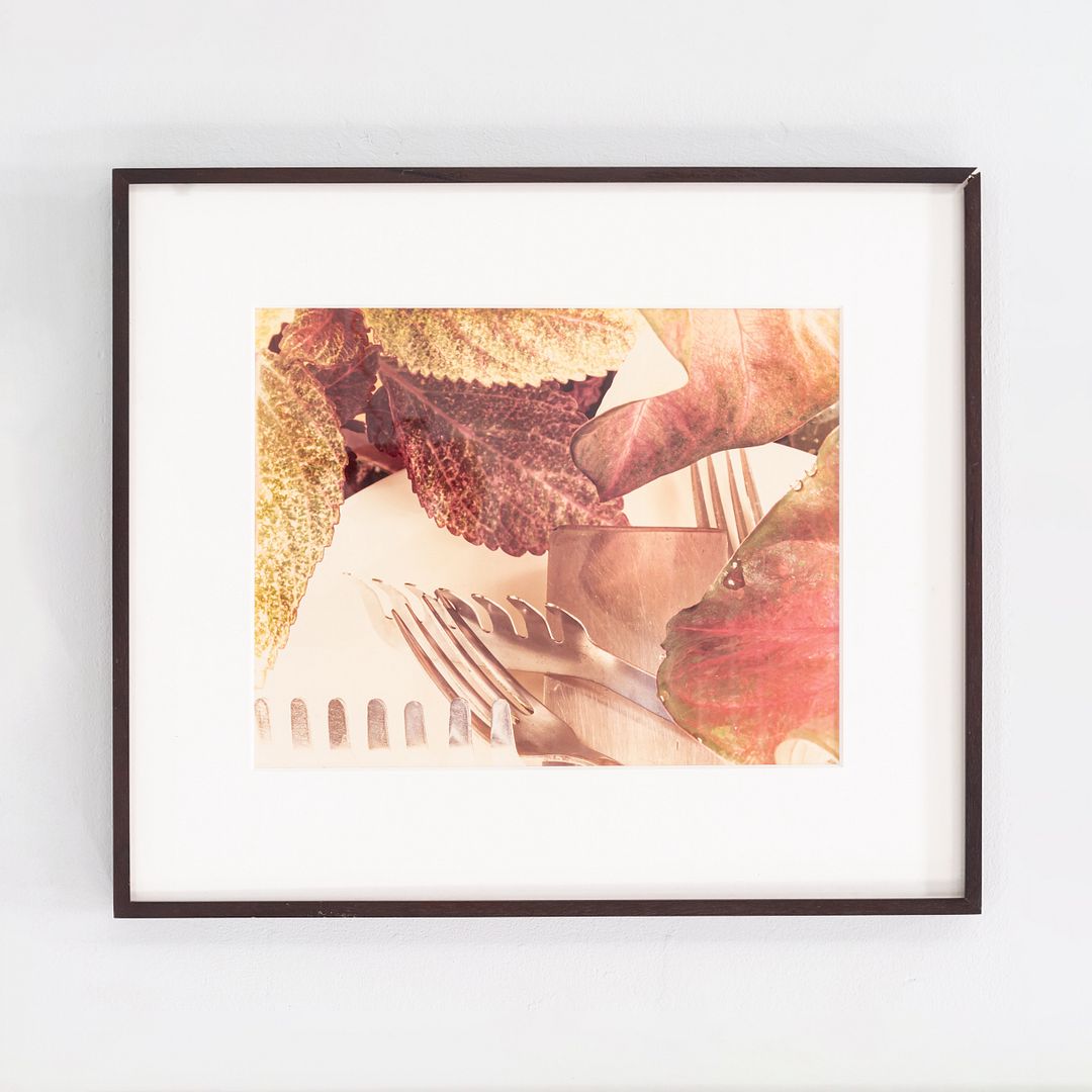 Still Life Photograph