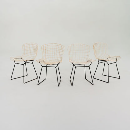 Bertoia Side Chair