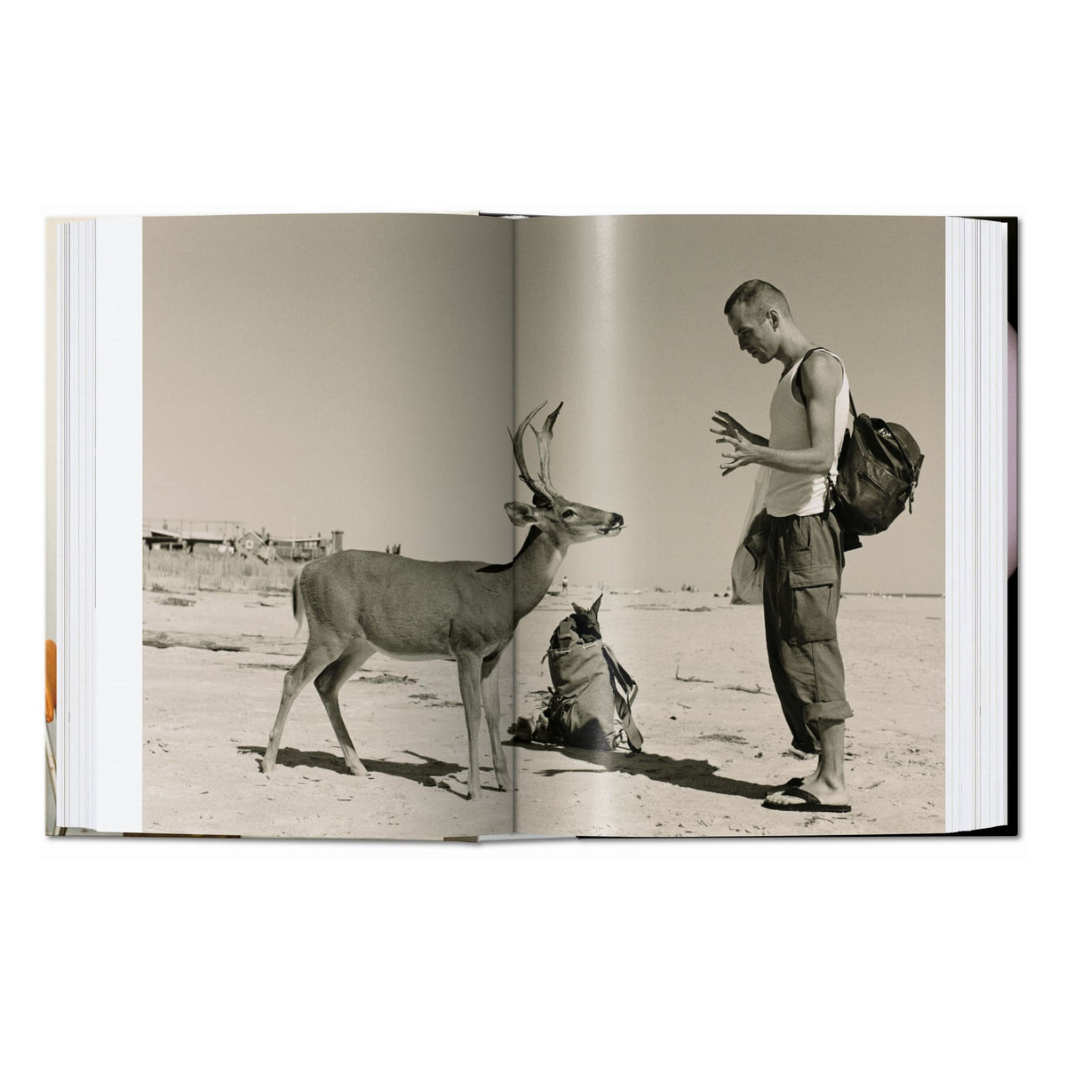 Wolfgang Tillmans. four books. 45th Ed. (English)