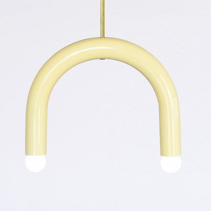 TRN Pendant Lamp — B1