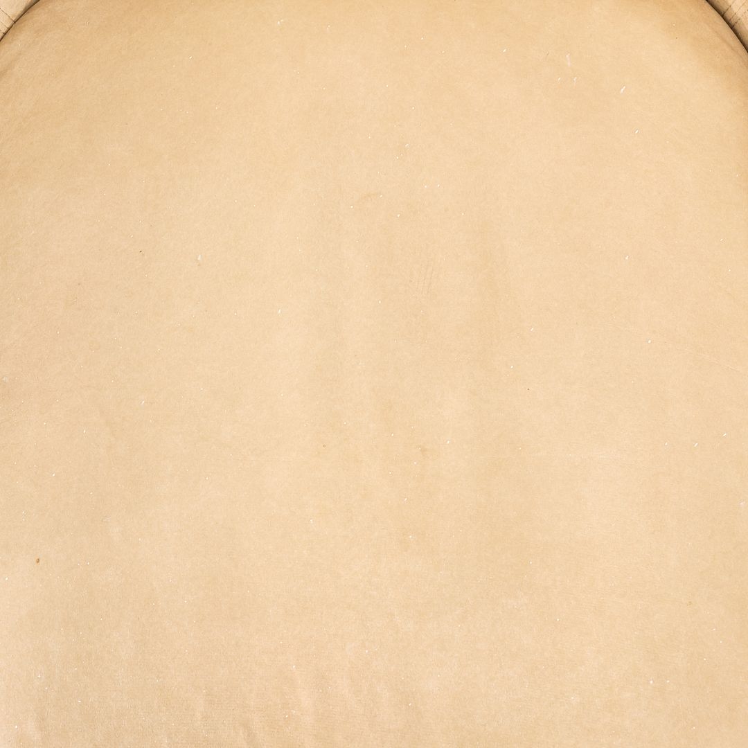 CH 6 Alpha Bucket Chair