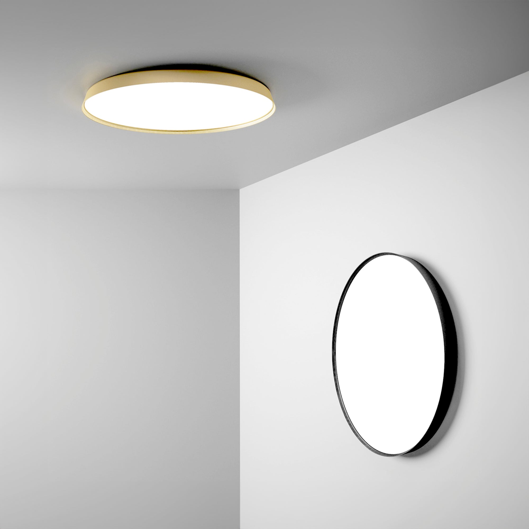 Compendium Plate Wall and Ceiling Lamp