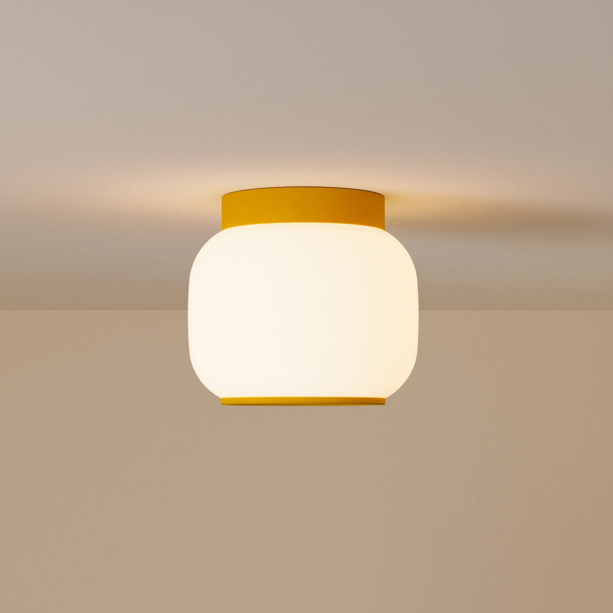 Canopy Flush Mount