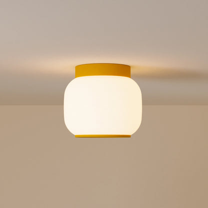 Canopy Flush Mount