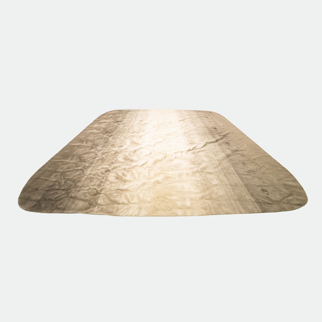 Area Rug