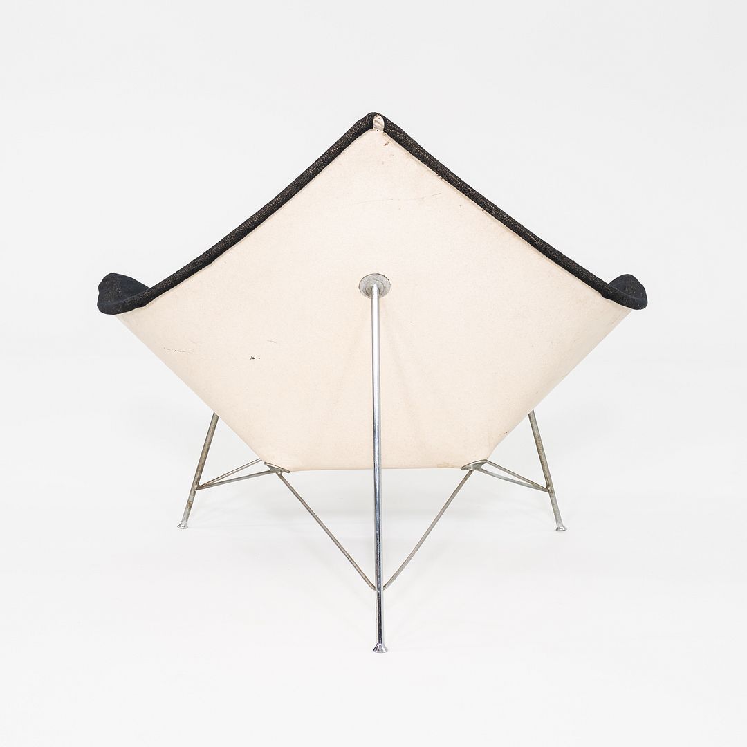 Coconut Lounge Chair