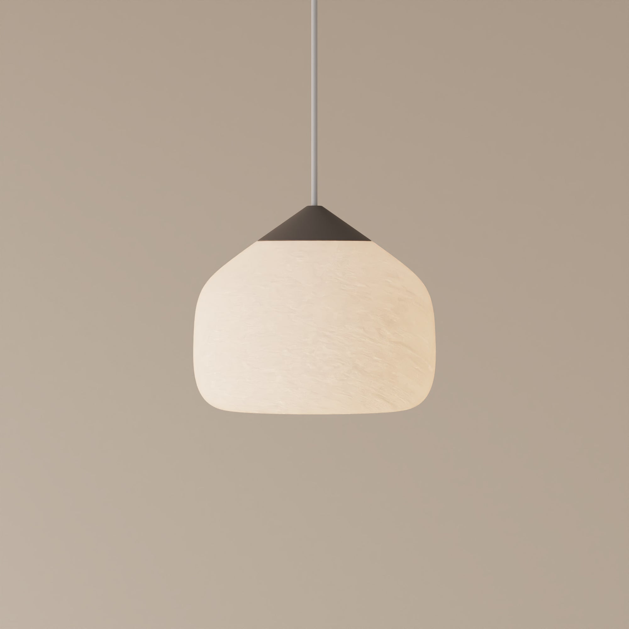 Goby Pendant Lamp