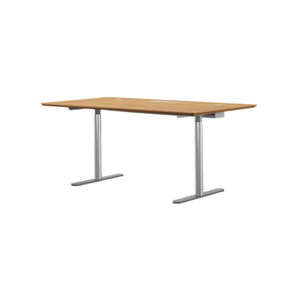 Ezone Desk