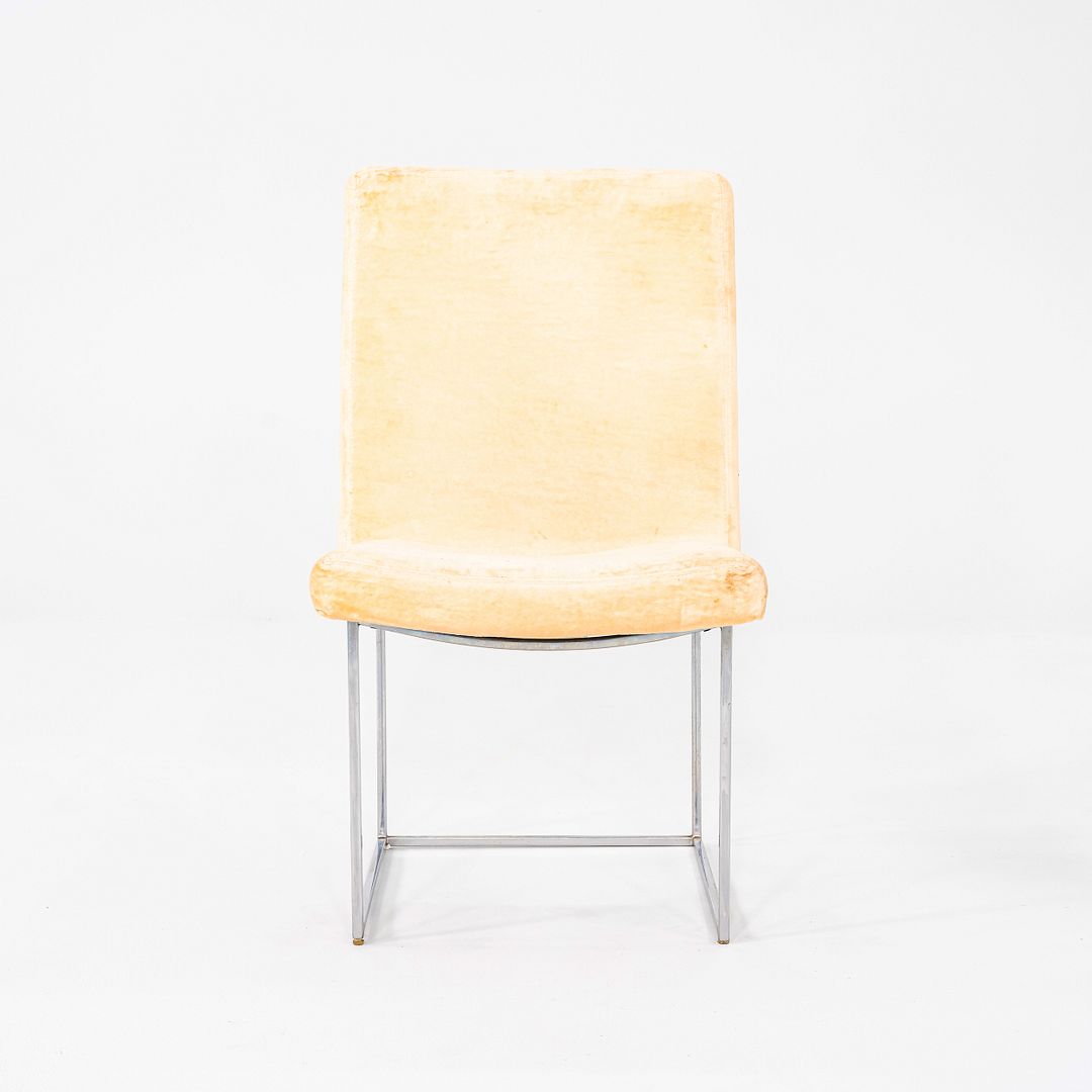 Thin LIne Dining Chairs