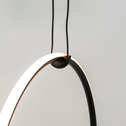 Arrangements Drop Up Pendant Light