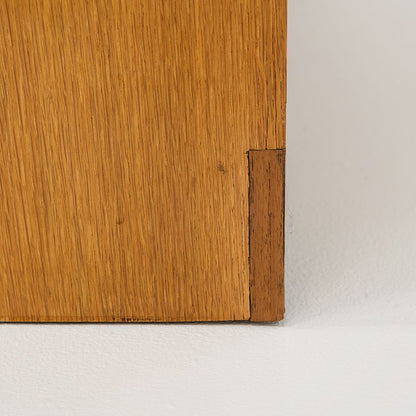 BCS Cabinet in Ash