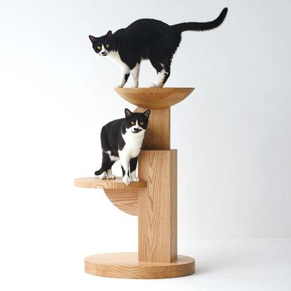 Medel Cat Furniture