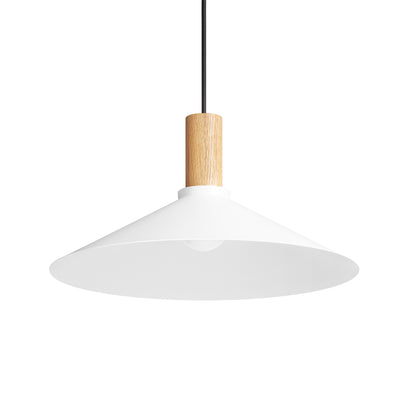 Emblem Pendant Light