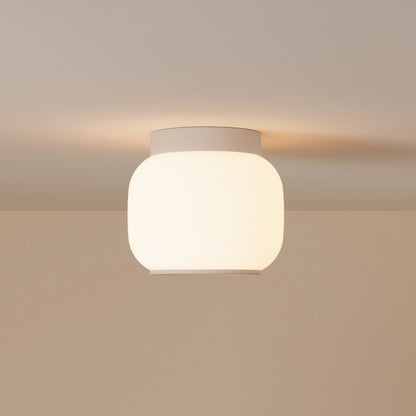 Canopy Flush Mount
