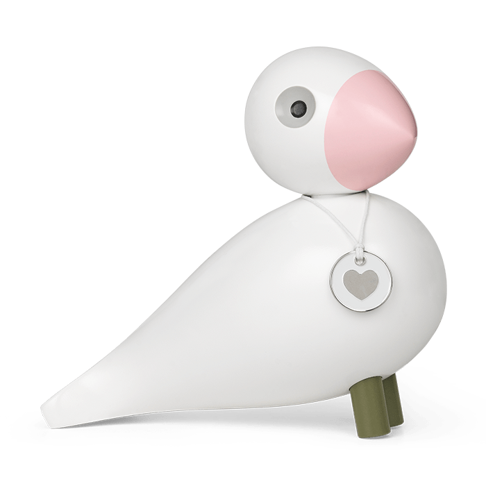 Songbird — Medium
