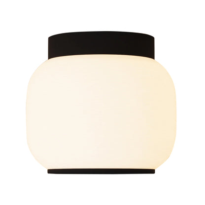 Canopy Flush Mount