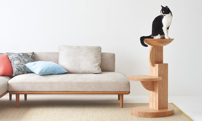 Medel Cat Furniture