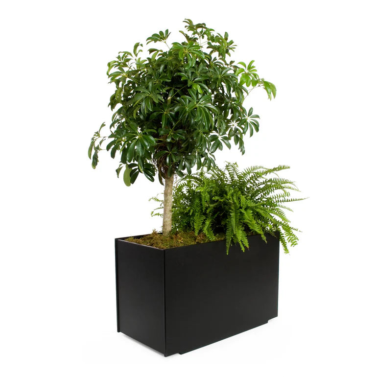 Mondo Planter — Double