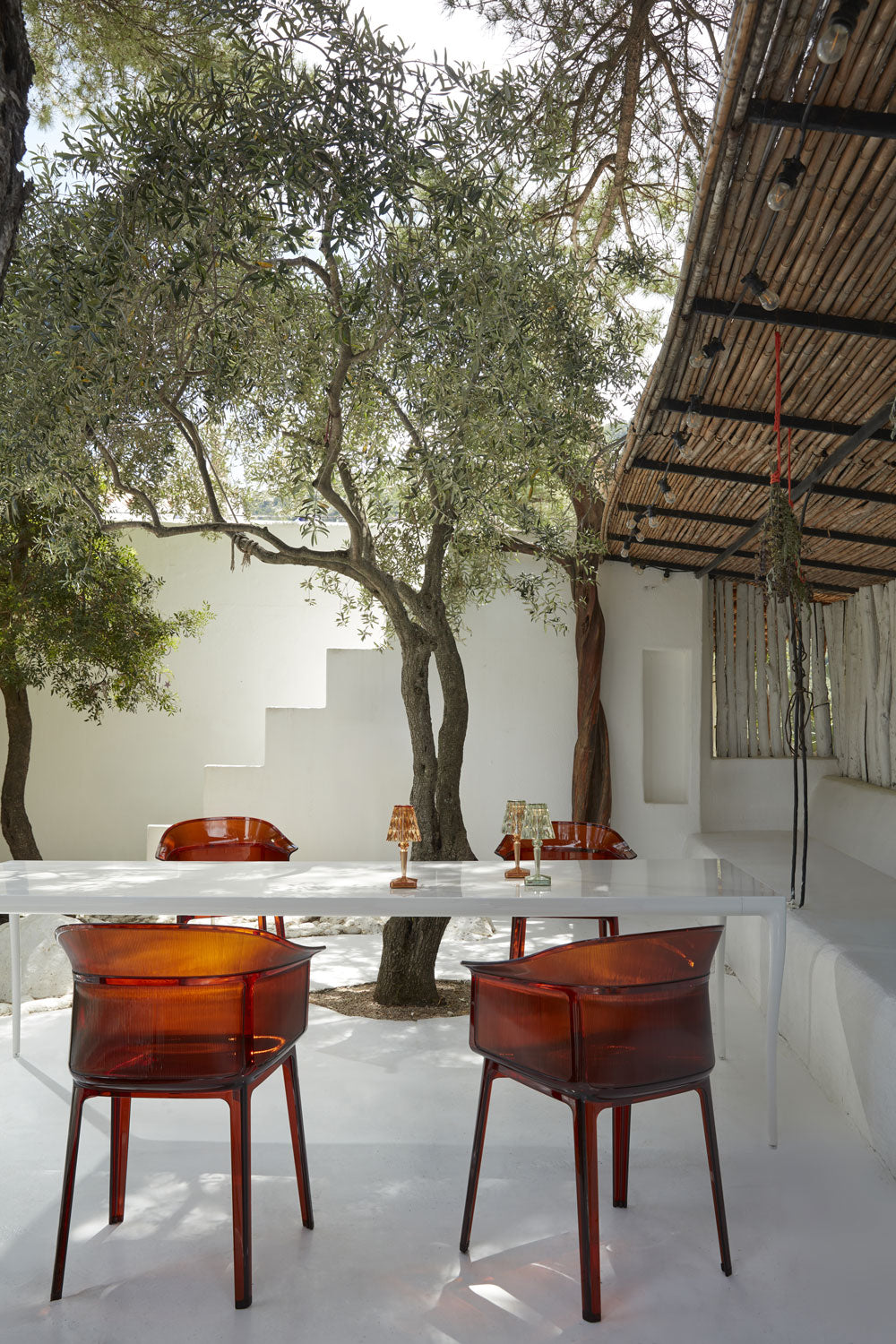 Papyrus Armchair (Set of 2)