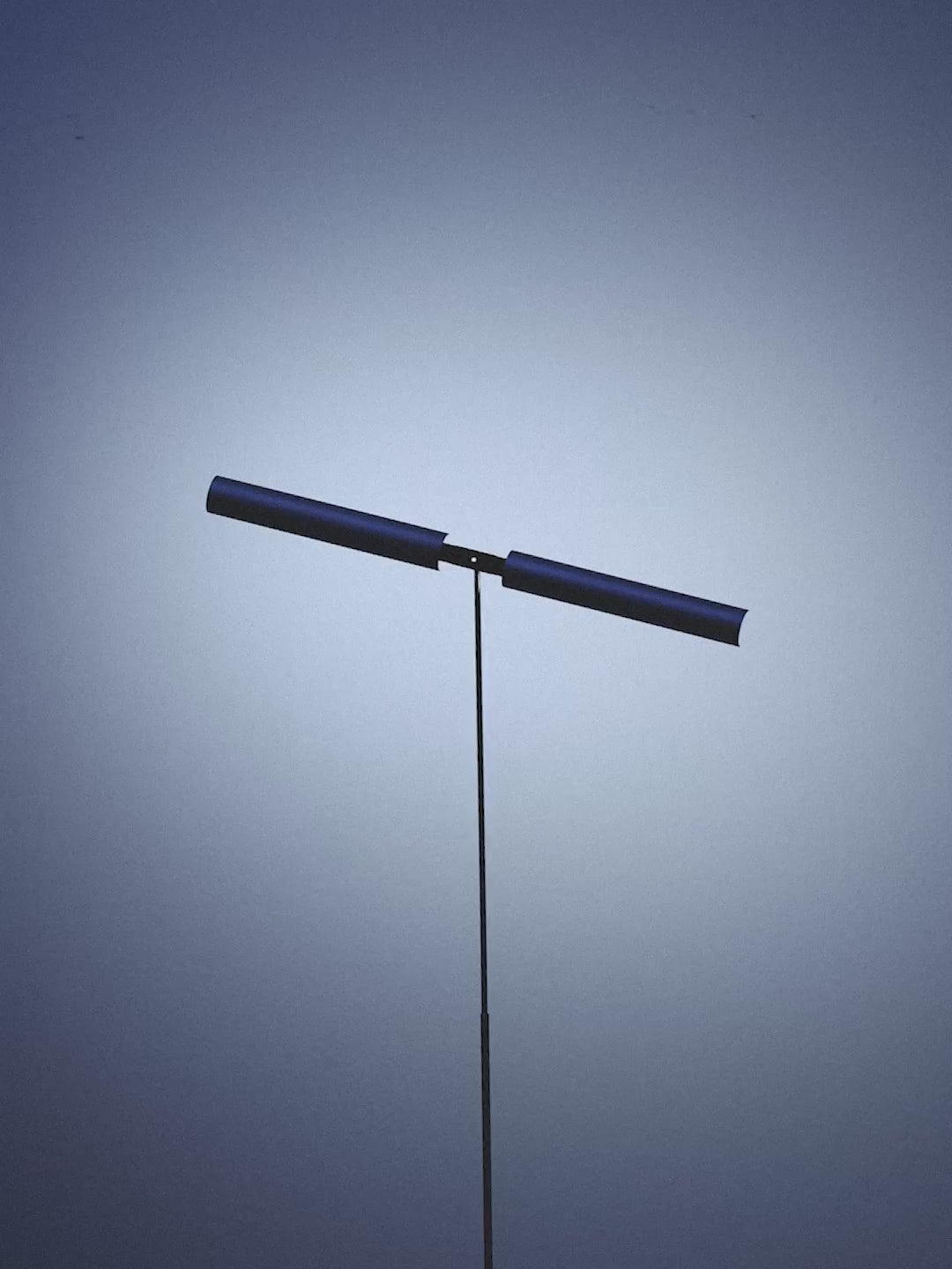 Ramulus Floor Lamp