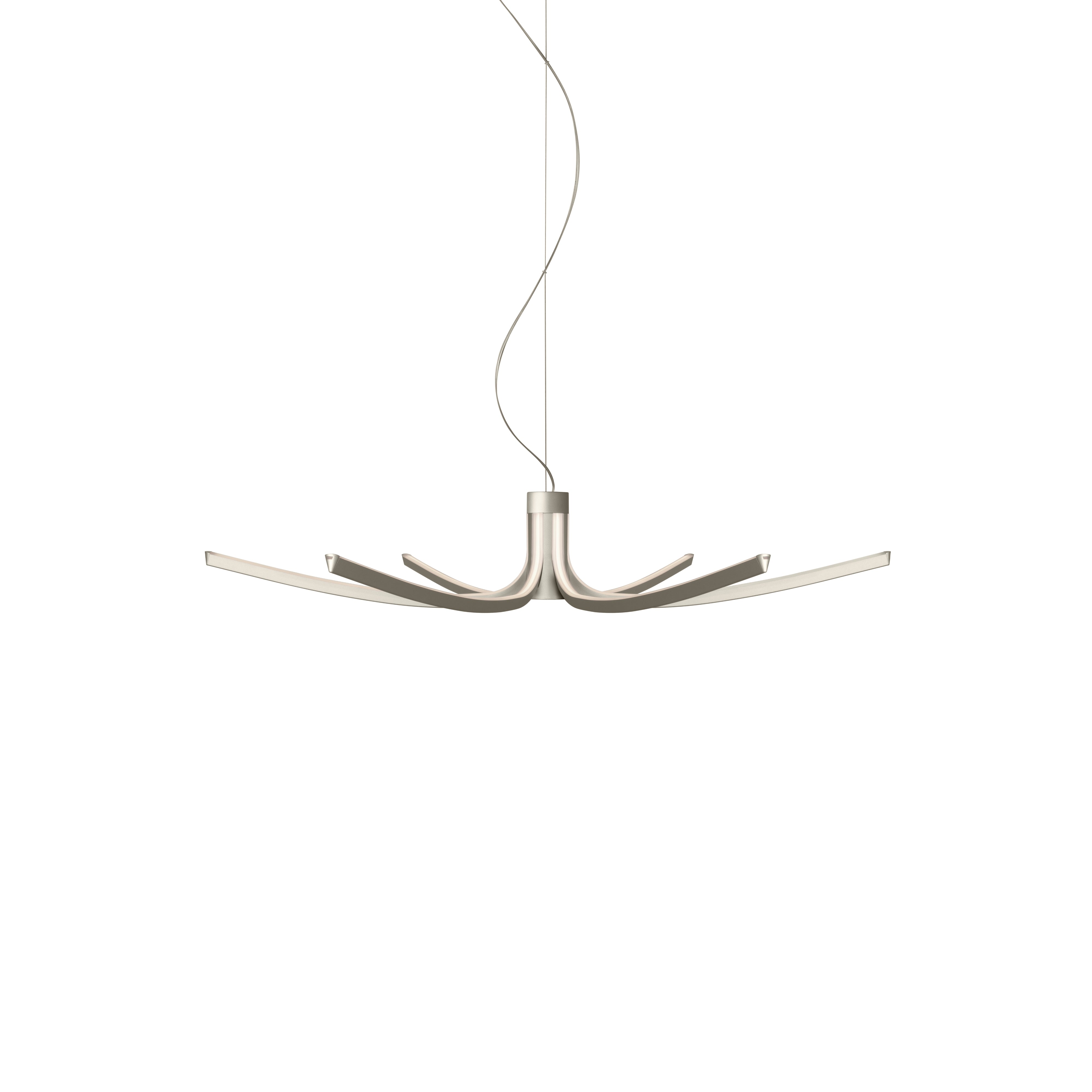 Asteria Pendant Lamp