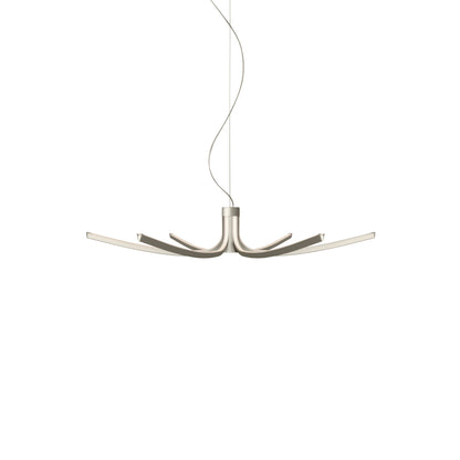 Asteria Pendant Lamp