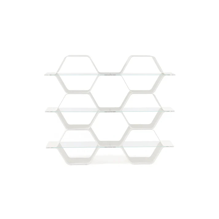 Honeycomb Modular Shelving