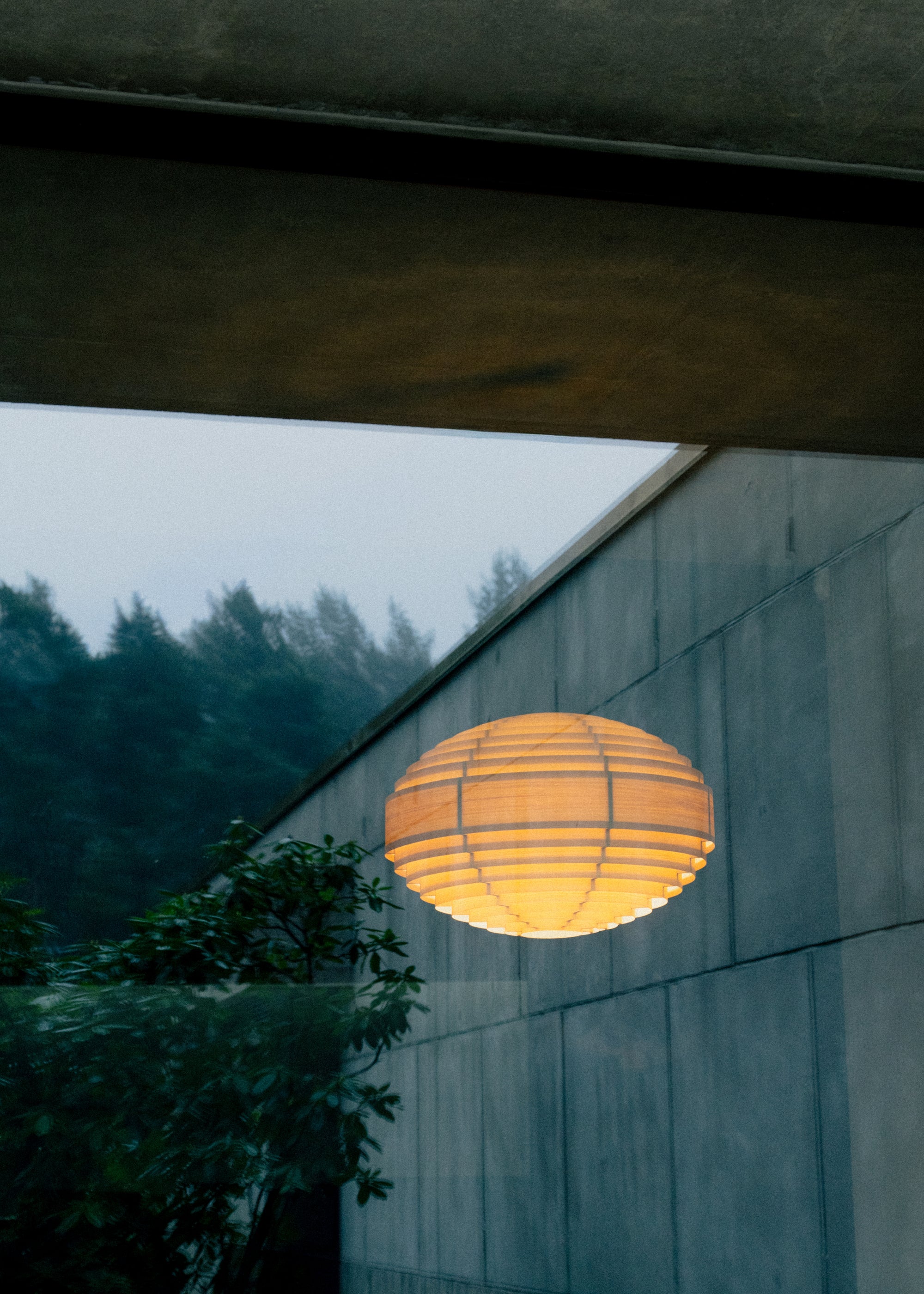 1002 Hans Pendant Lamp