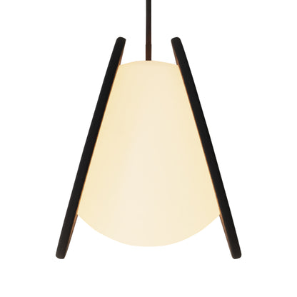 Pendulum Pendant Lamp