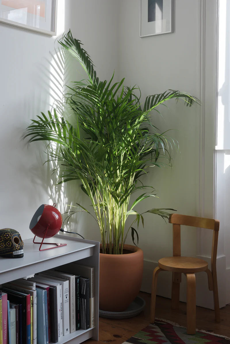Plie Floor Unit
