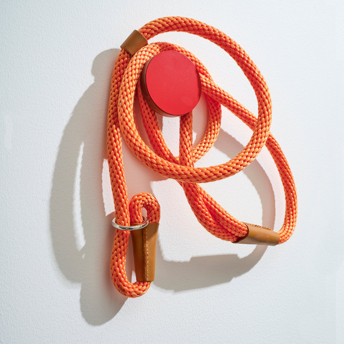 The Wall Hooks