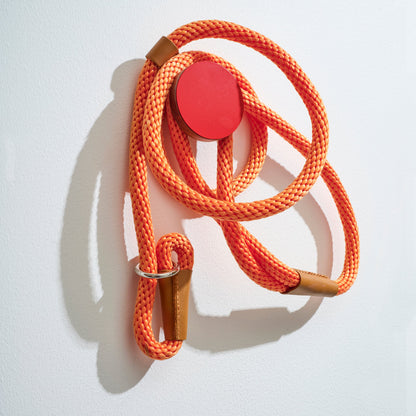 The Wall Hooks