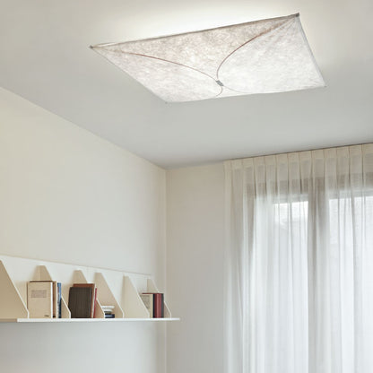 Ariette Ceiling and Wall Lamp