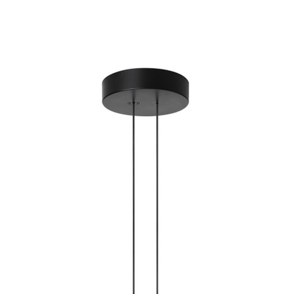 Arrangements Pendant Lamp
