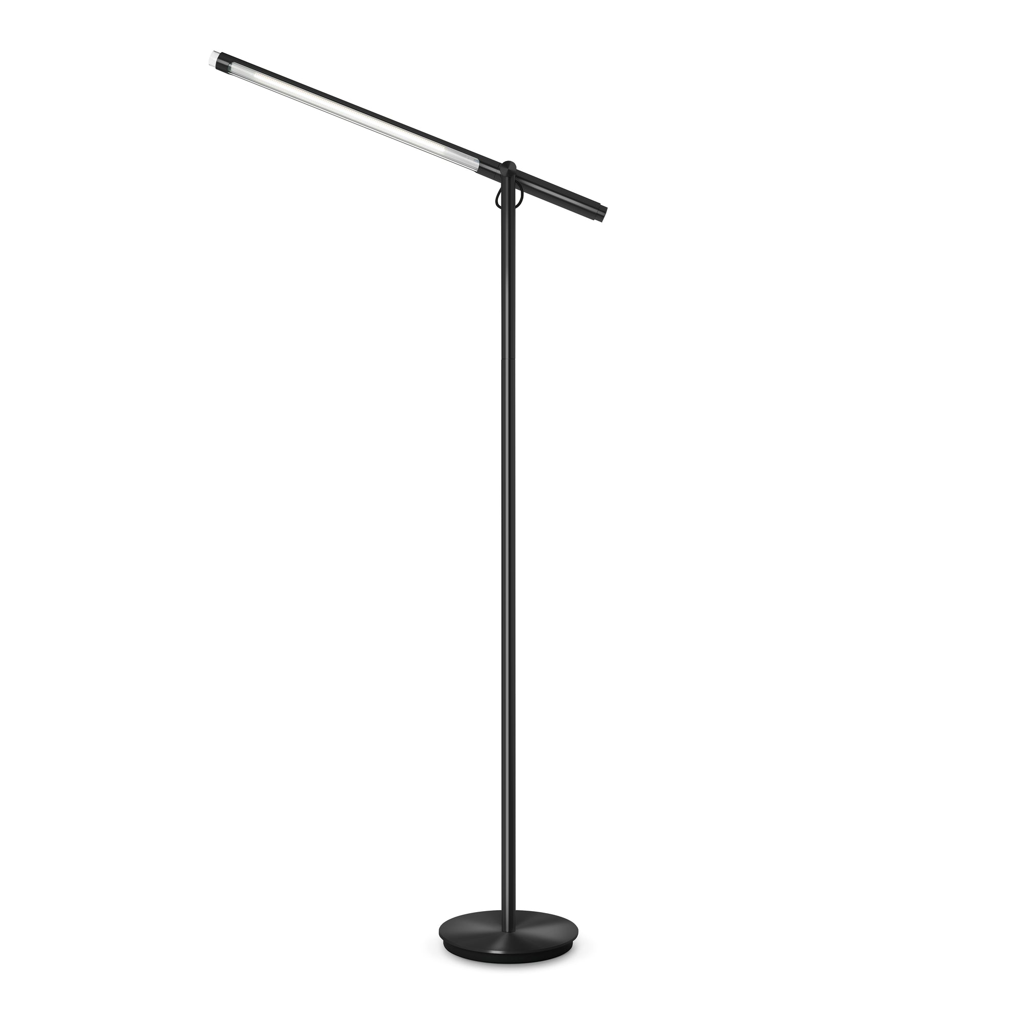 Brazo Floor Lamp