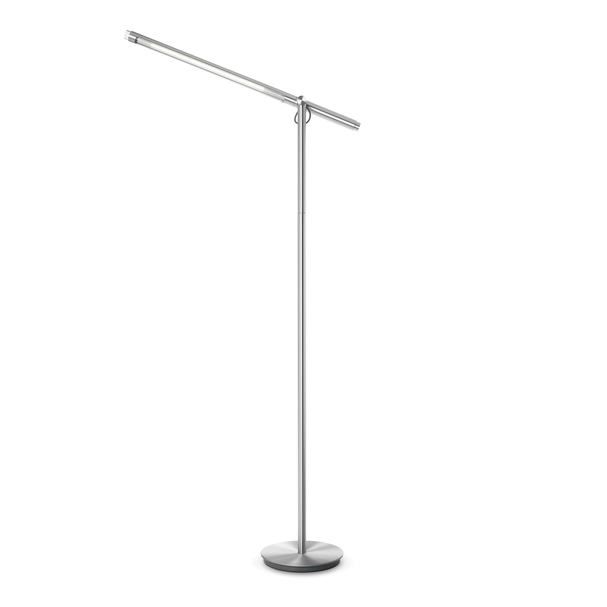 Brazo Floor Lamp