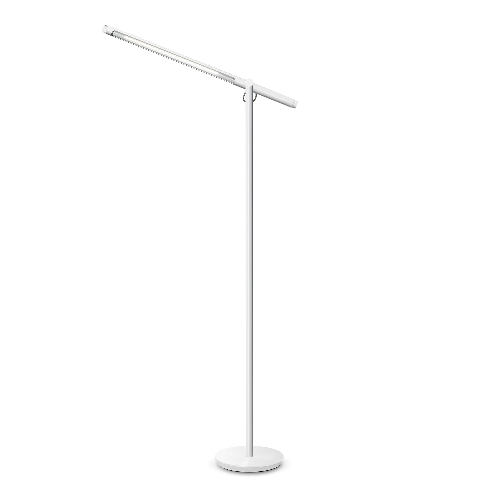 Brazo Floor Lamp